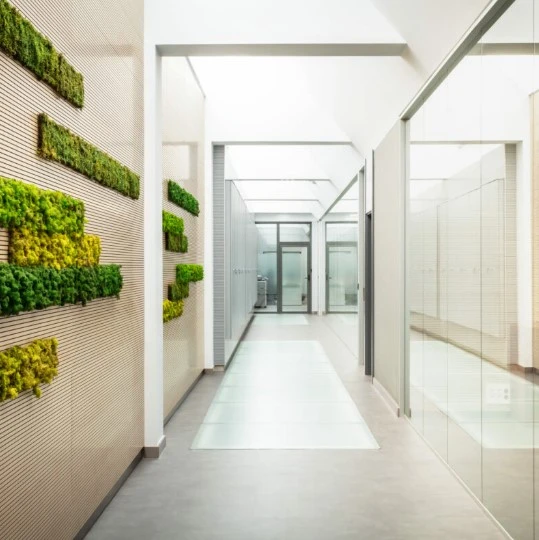 Proyectos de Jardines Verticales: Inspiración Verde para Espacios Únicos