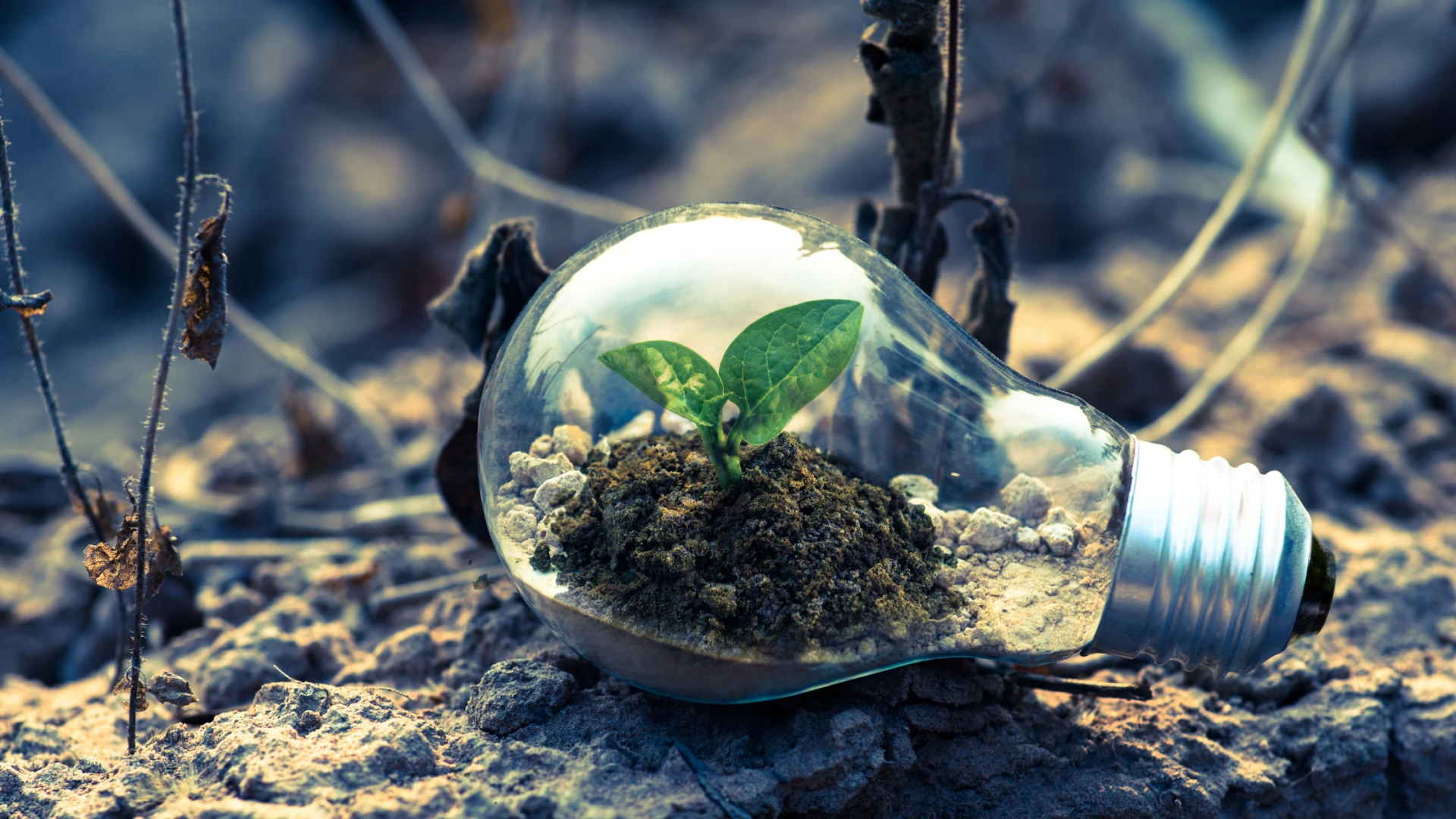 Surprising Gains from Picking a New Energy Partner