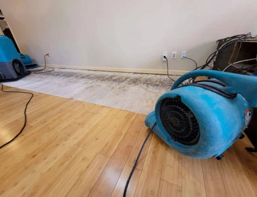 Water Damage Restoration Costs: A Comprehensive Guide for Homeowners and Businesses