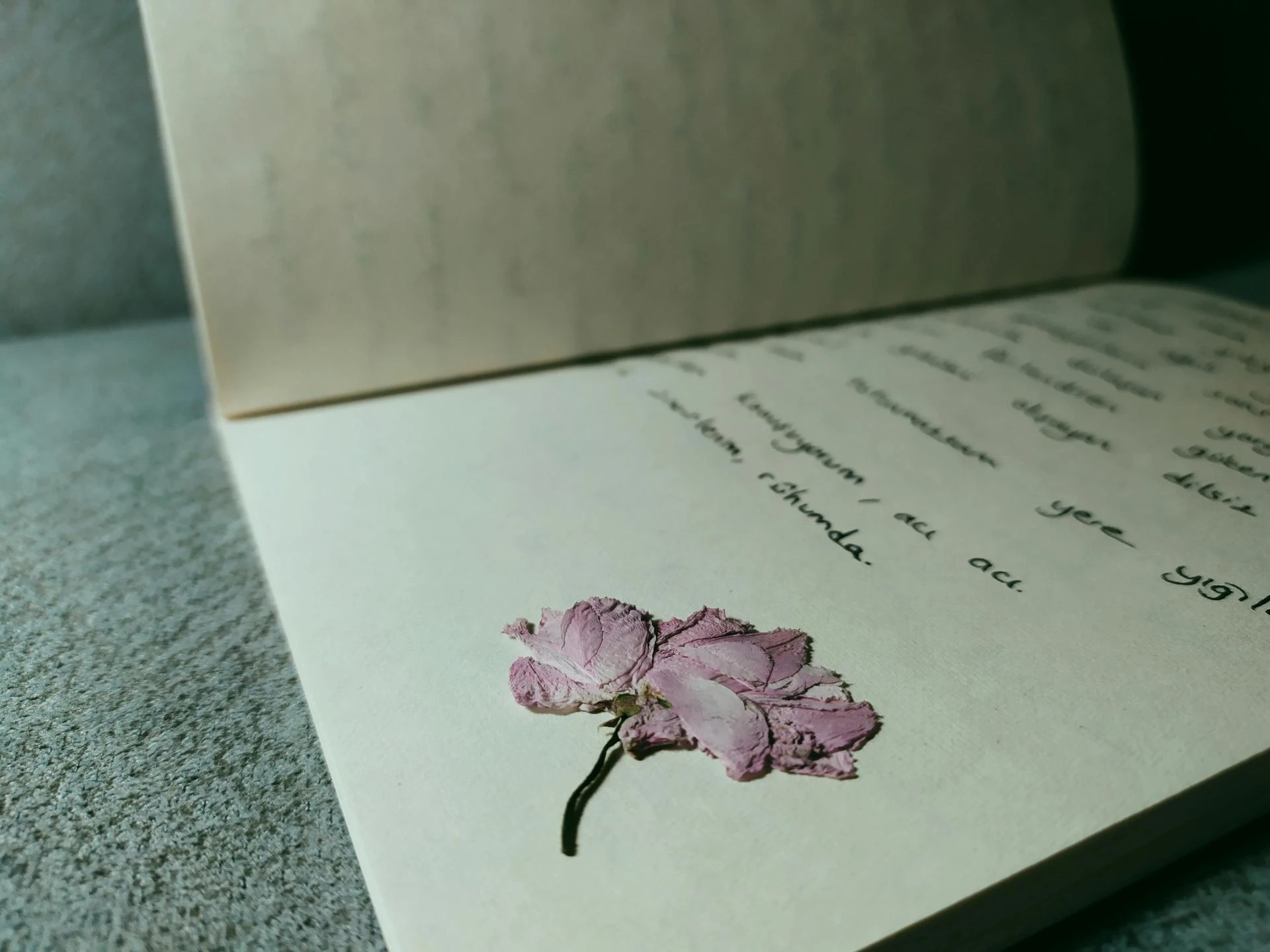 Top 10 Simplifiers: How High-End Ghostwriter Services Streamline Your Entire Publishing Process