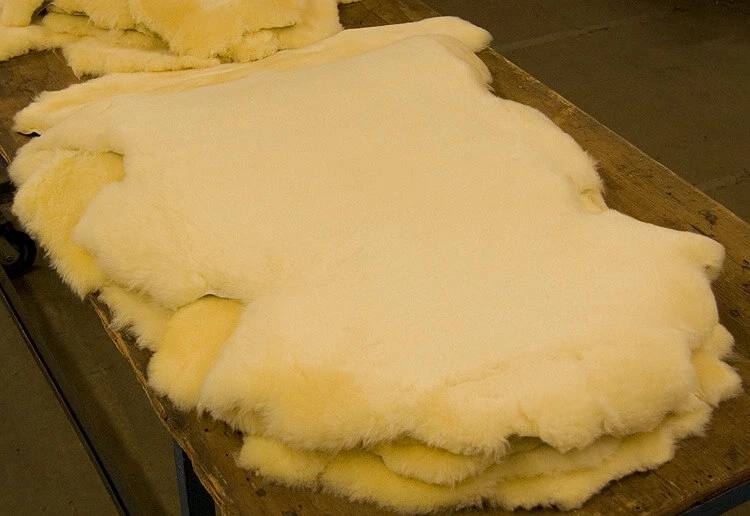 Everything You Need to Know Before Buying Medical Sheepskin Products