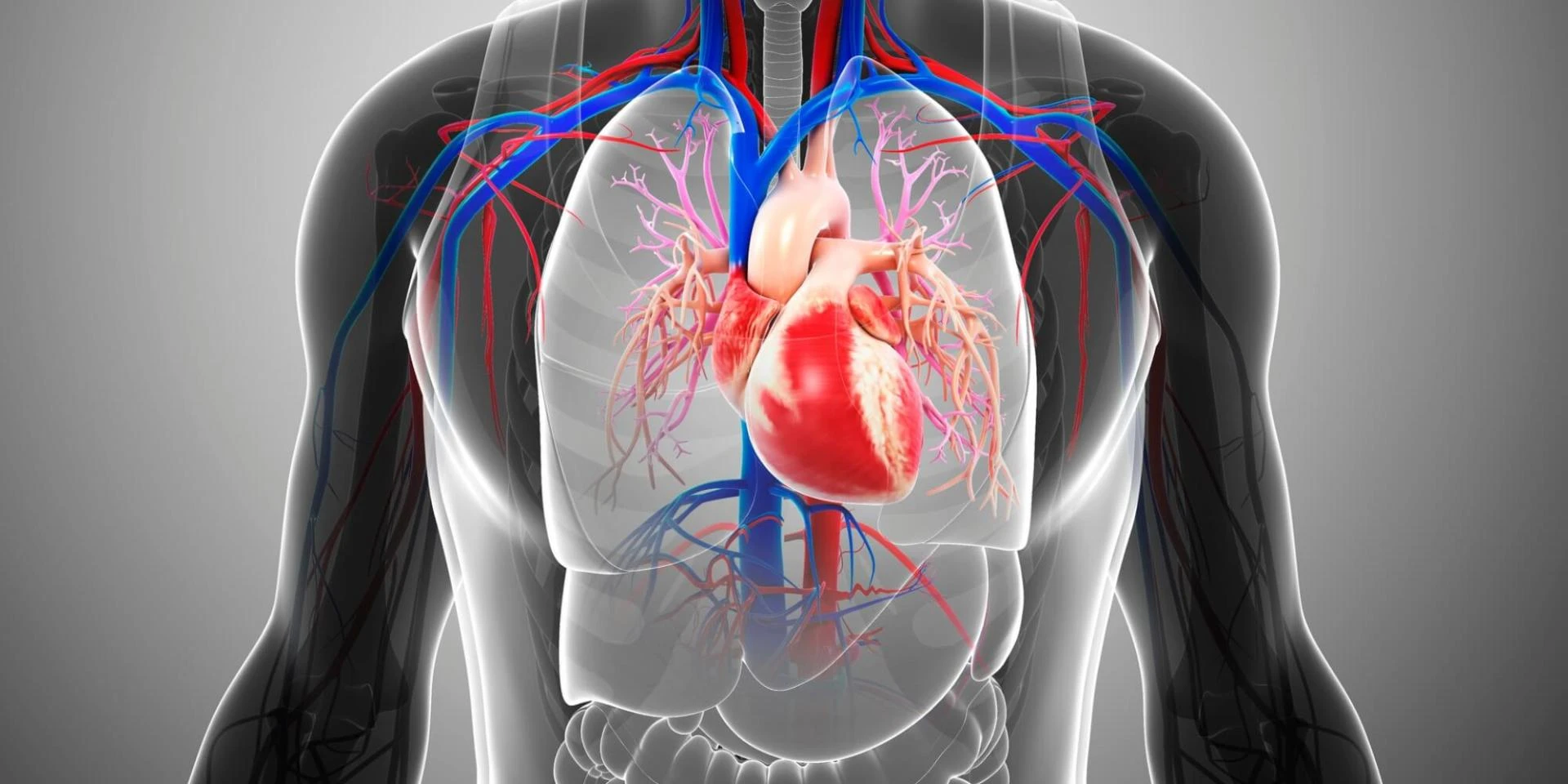 Advanced Heart Failure Care in TX – Insights from Advanced Cardiology