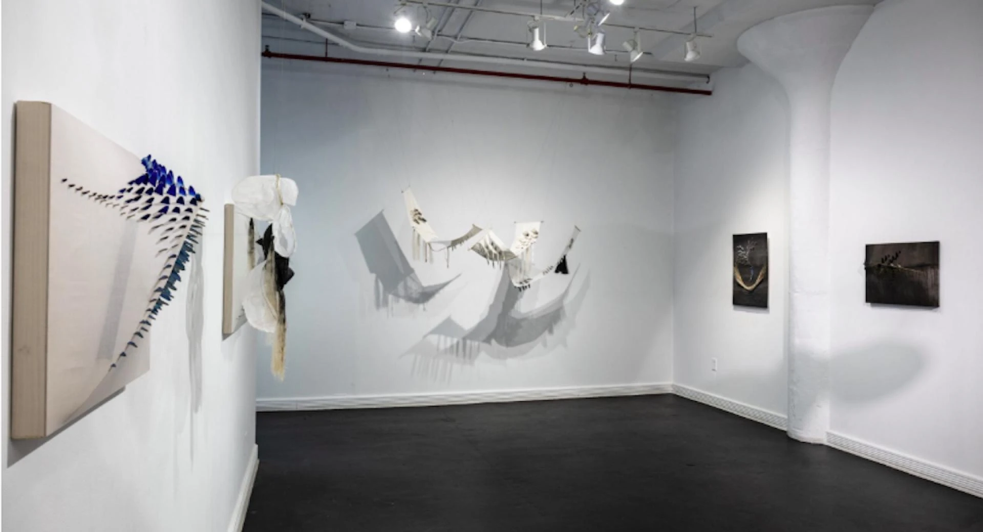 Where Fractal Images Meet Art and Fashion in Modern Culture