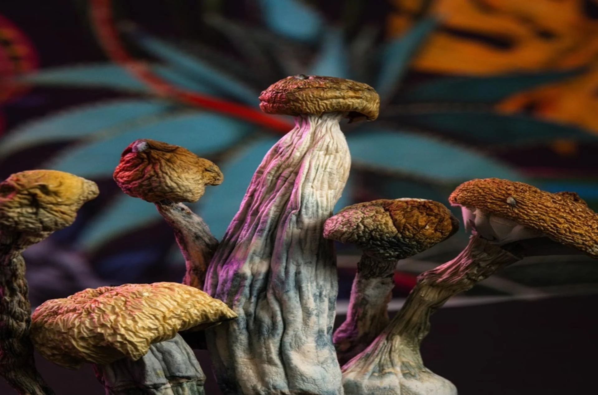 Can Magic Mushrooms Help Treat Anxiety Disorders?