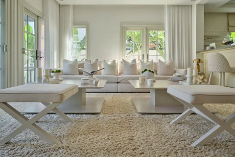How to Match a Cream Rug with Any Living Room Decor?