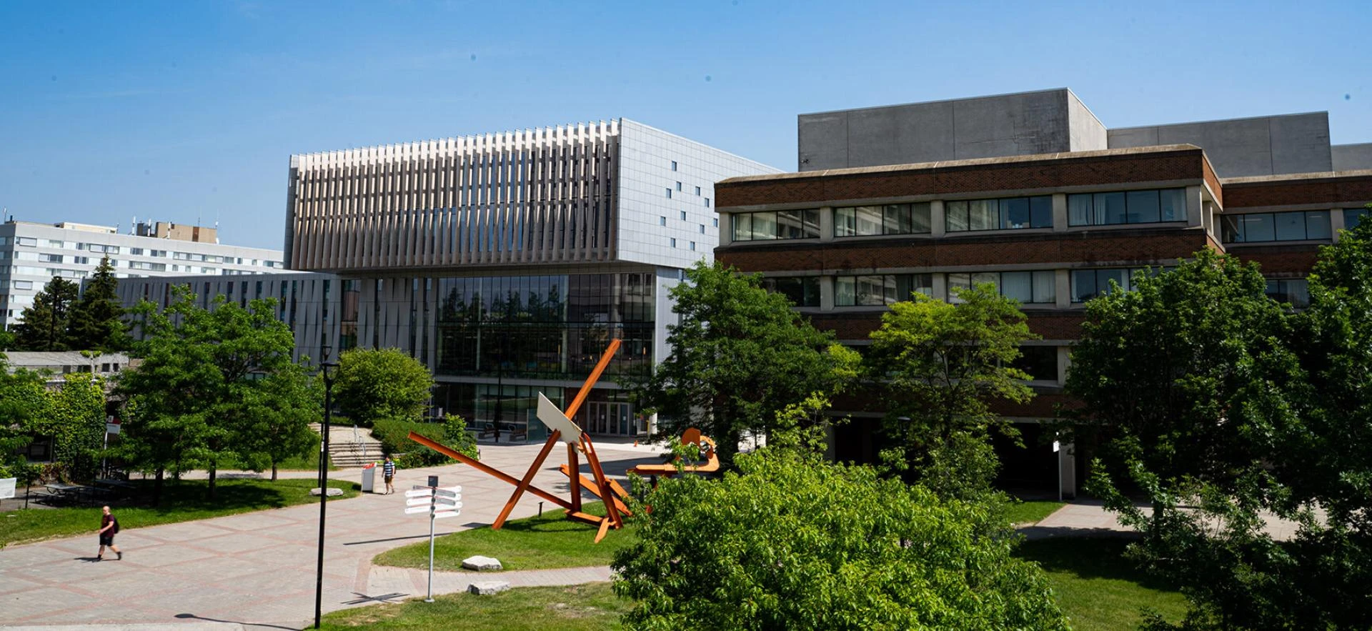 How to Have a Successful Career