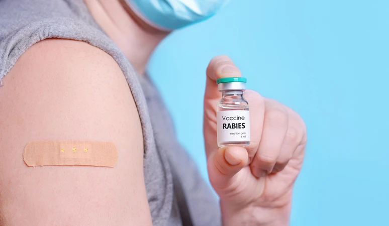 Where to Get Rabies Vaccination for Travel in London: Costs, Schedule, and Expert Advice