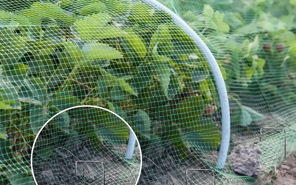The Hidden Reason Architects Recommend Bird Control Nets for Modern Buildings
