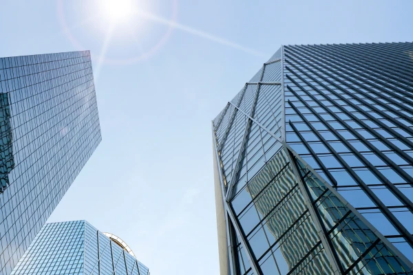 Best SEO Company in Kolkata: A Complete Guide for Local Businesses