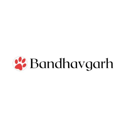 Where Nature Meets Luxury: Bandhavgarh’s Hidden Resort Escapes