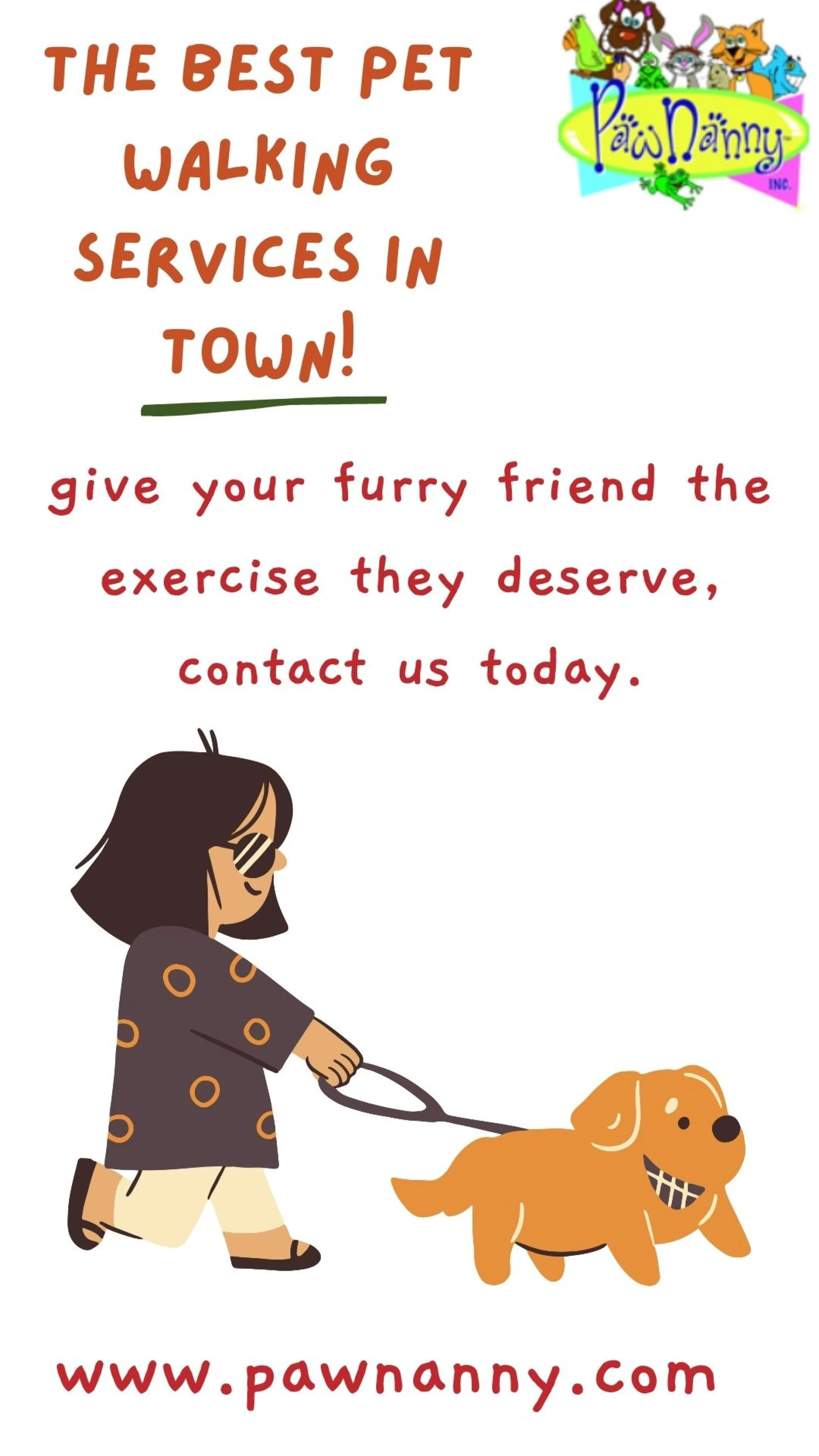 Top-Rated Dog Walking Services for Mid Day Strolls in Fairfax & Loudoun County