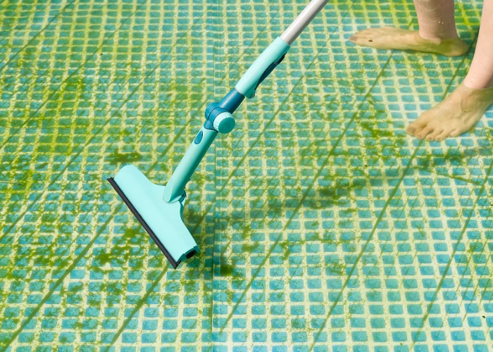 Expert Green Pool Cleaning Tips for Beginners and Pros