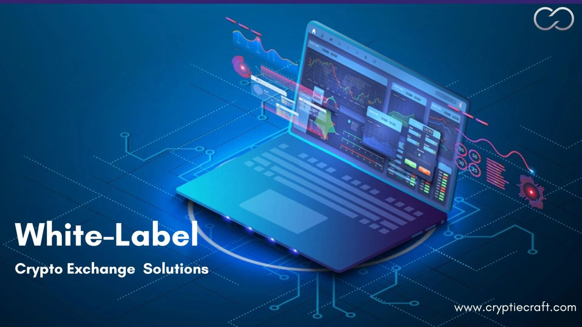 Explore The Crypto Niches Thriving with White Label Exchange Solutions