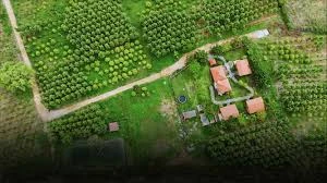 Managed Farmland for Sale – A Smarter Way to Own Nature with Hosachiguru