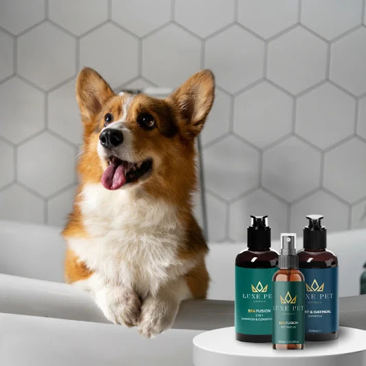 Pet Care Products in Australia Every Owner Needs