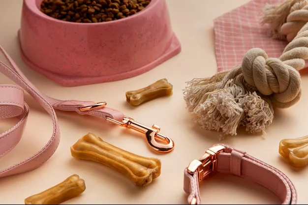 Pet Supplies Can Make a Difference in Your Animal’s Life