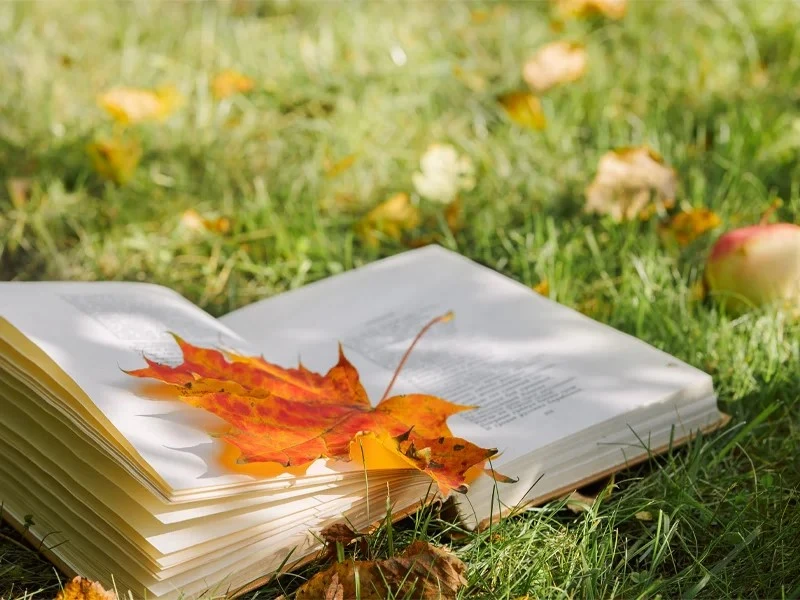 The Council of Creatures: Animal Collectives as a Model for Global Governance in Environmental Justice Fiction Books