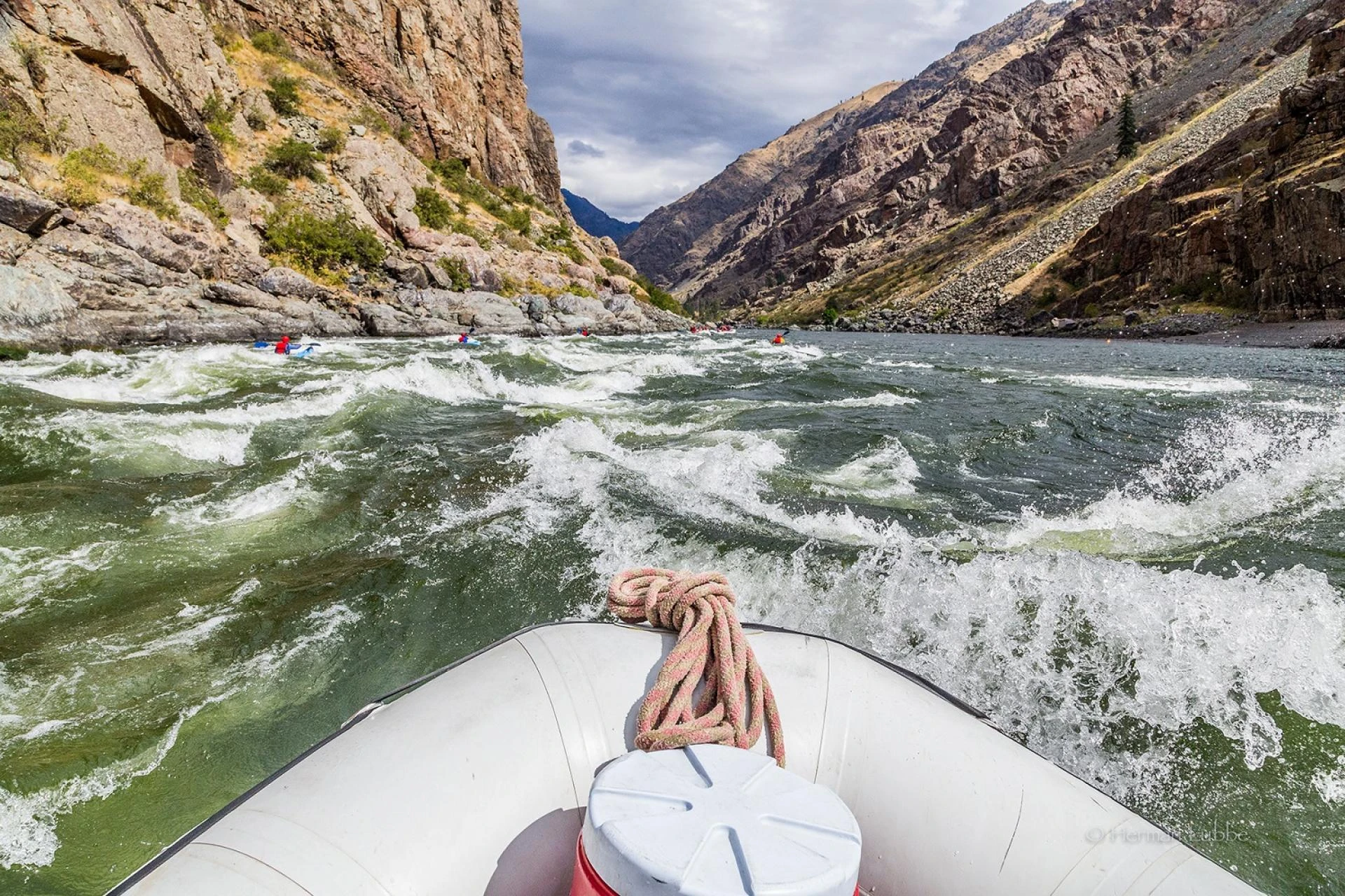 Animal Sightings: The Best Idaho Seasonal Trips for Animal Lovers