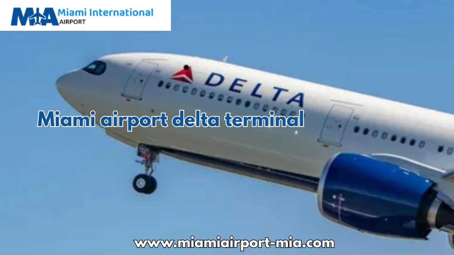 Your Gateway to Comfort: A Traveler's Look Inside the Miami Airport Delta Terminal