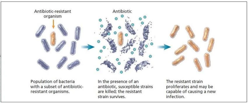 Antimicrobial Resistance Diagnostics Market: Revolutionizing the Fight Against Drug-Resistant Infections