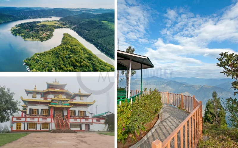 Discover the Hidden Gem of the Himalayas: Why You Should Book Best Kalimpong Tour Packages