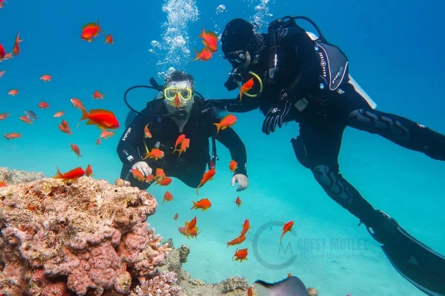 Escape to the Islands: How to Book the Best Andaman Tour Packages for an Unforgettable Getaway