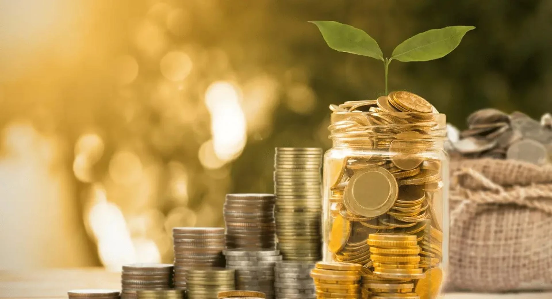 What are the financial benefits of procurement functions?