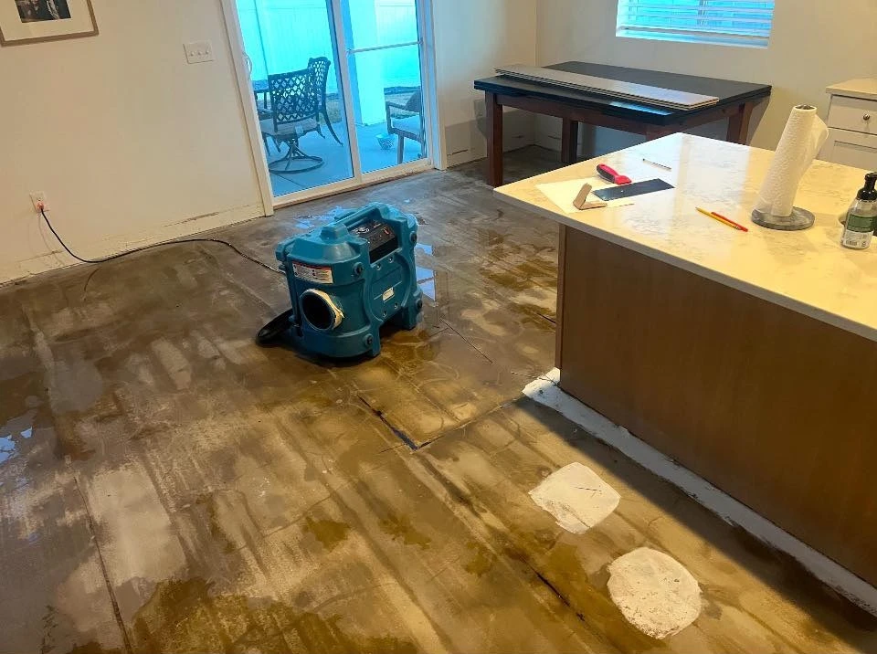 Utah Disaster Restoration Services: Full Home Recovery Guide