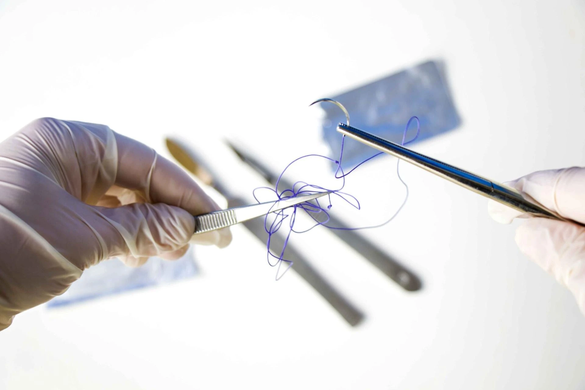 Choosing the Right Veterinary Surgical Sutures Matters for Every Surgery