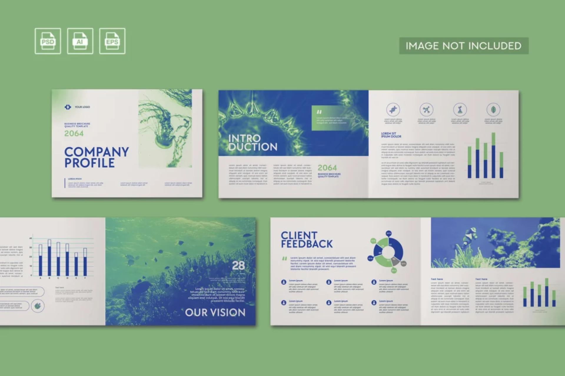 How a Professional Company Profile Agency Can Elevate Your Brand Identity