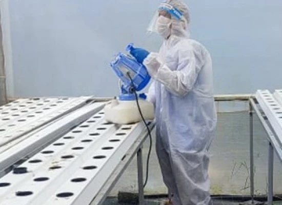Complete Protection with Pest Control House Tent and Home Fumigation Services