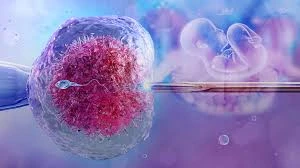 A Complete Expert Guide to IVF Treatment, Infertility Testing & IVF Cost in Jaipur