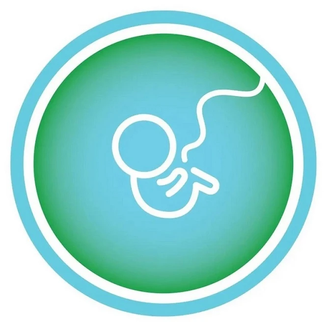 A Guide for First-Time IVF Patients