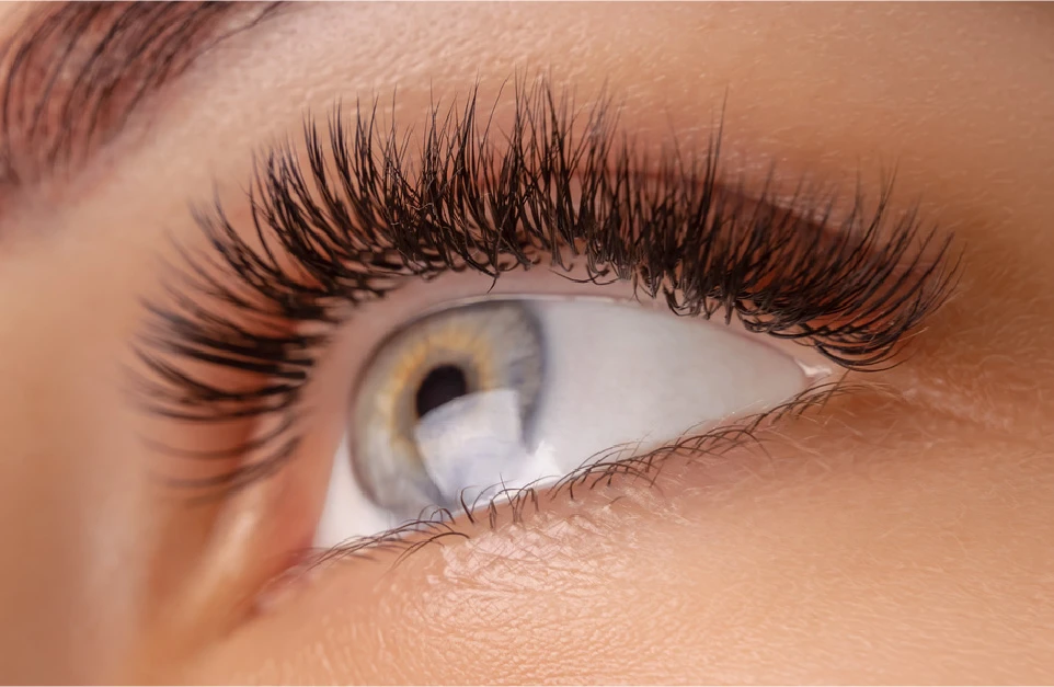 Why Hybrid Brows Are the New Beauty Essential in Elsternwick