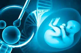 IVF Abu Dhabi: Advanced Fertility Care for Hopeful Parents