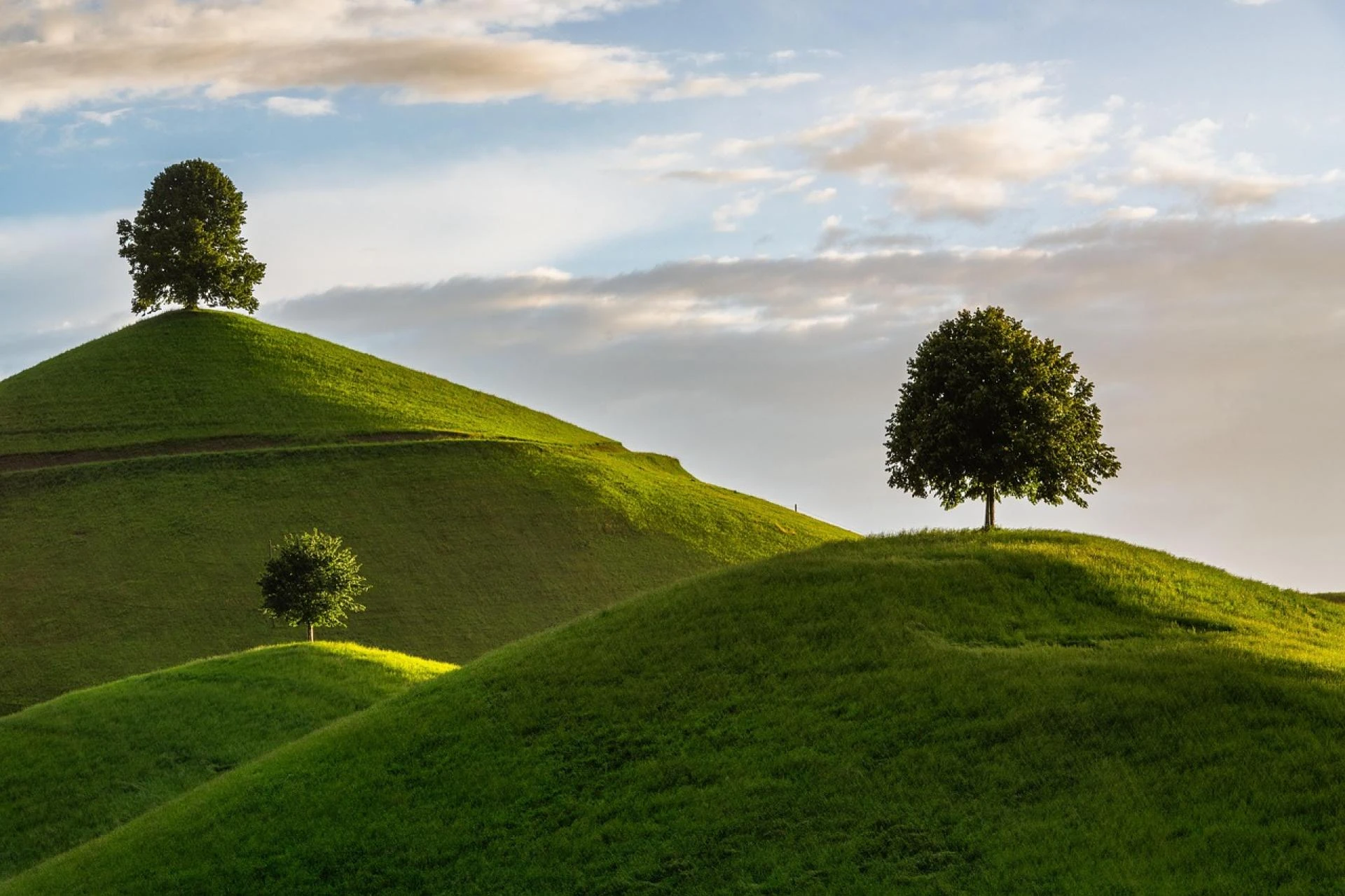 Discover the Scenic Charm of Raspberry Hills