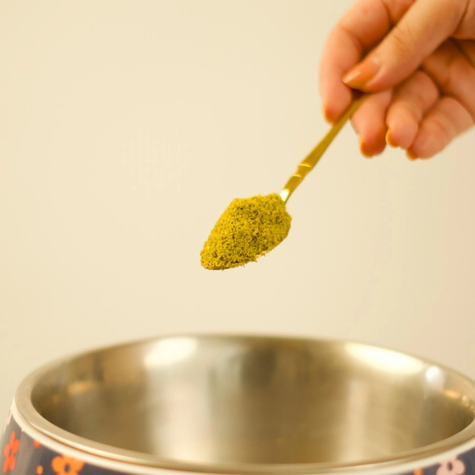 The Rise of Personalised Nutrition Through Online Dog Food Platforms