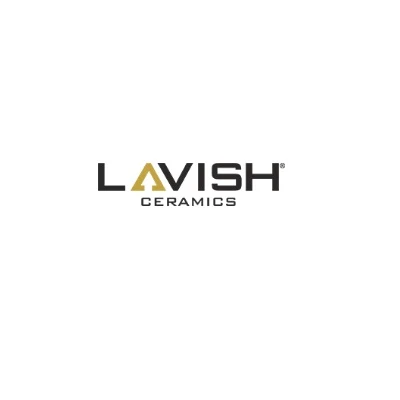 Choosing Between Parking Tiles and Porcelain Tiles: My Experience With Lavish Ceramics