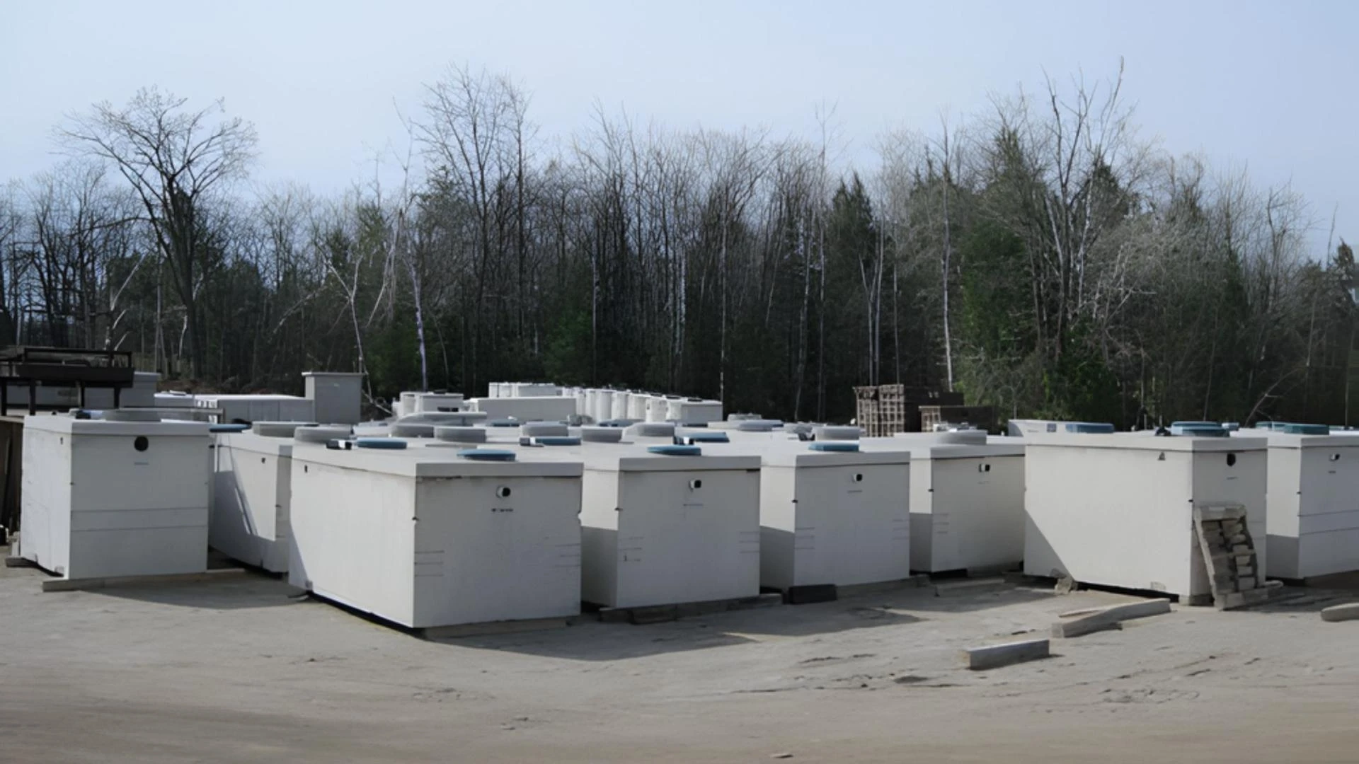 Essential Septic Tank Maintenance Tips for Ontario Homeowners