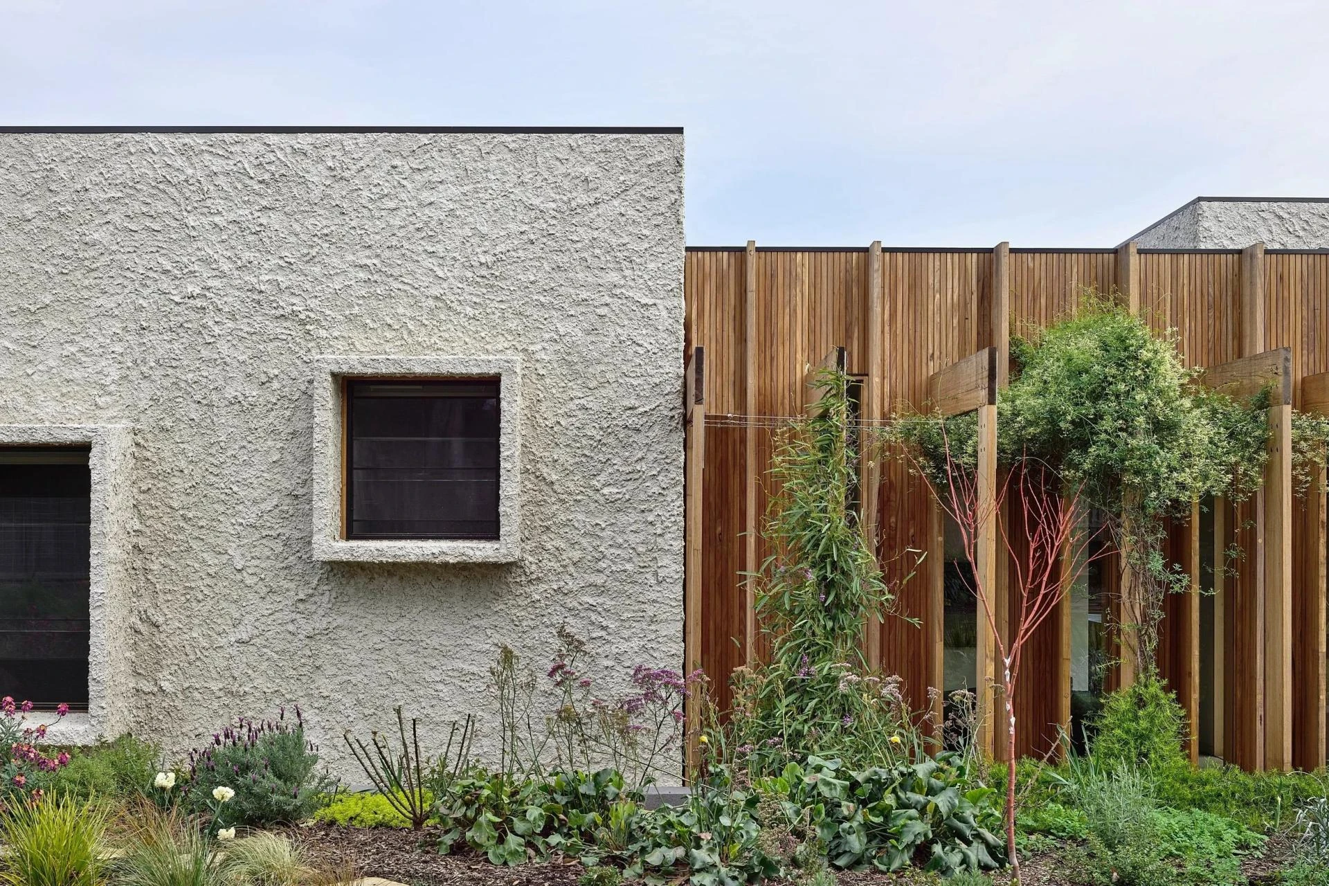 Residential Architect Melbourne — Zen Architects: Thoughtful, Sustainable Home Design