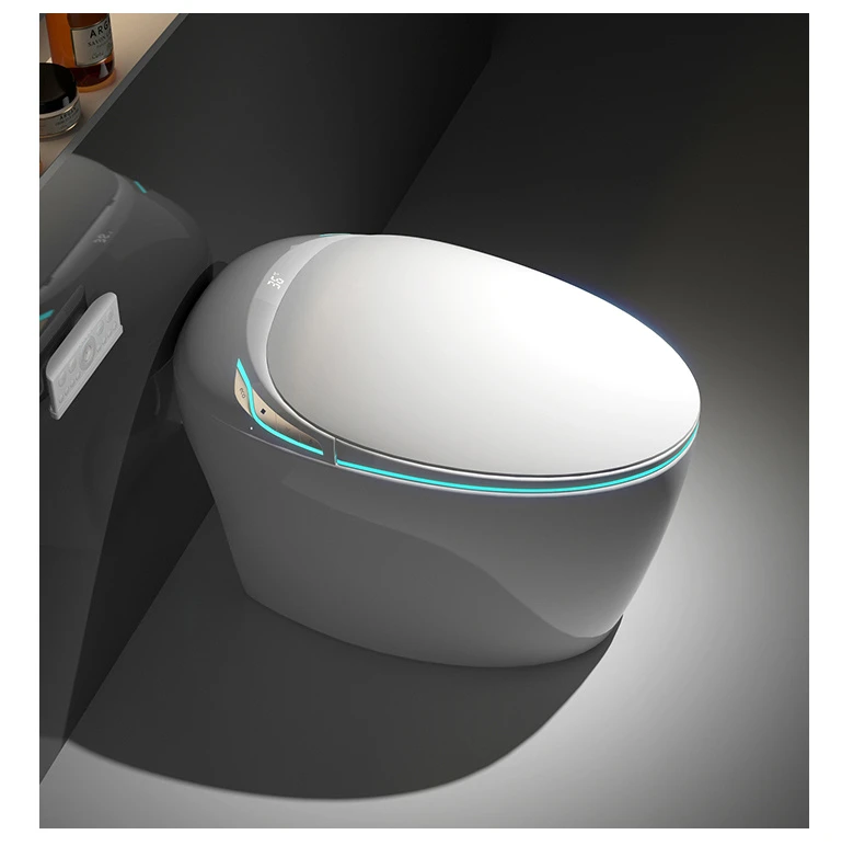 What is a Smart Toilet?