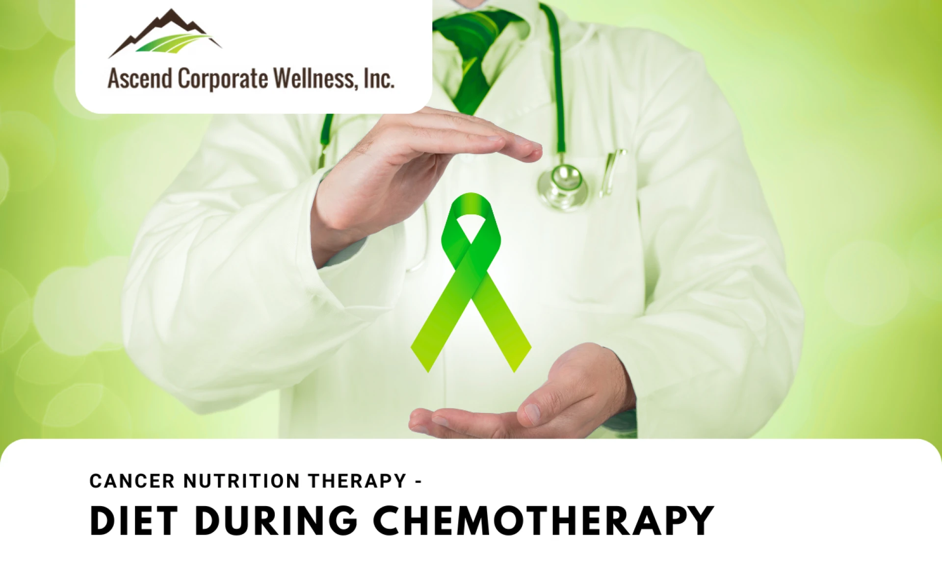 Empowering Health Through Nutrition: The Role of Certified Holistic Nutritionists