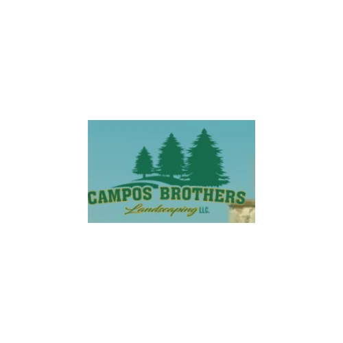 Landscape Maintenance: The Key to a Healthy, Beautiful Outdoor Space (Campos Brothers Landscaping)