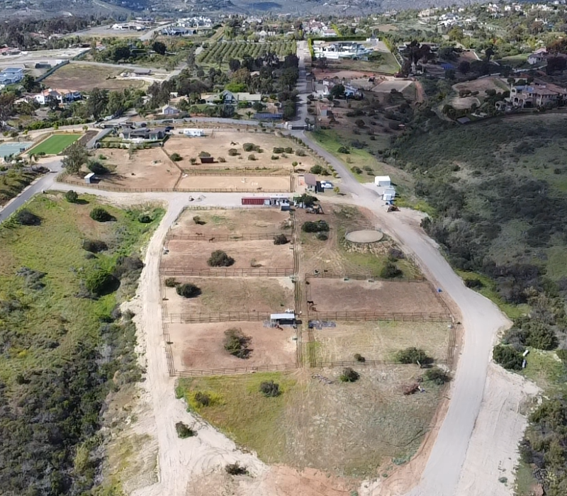 San Diego's Thriving Equestrian Scene