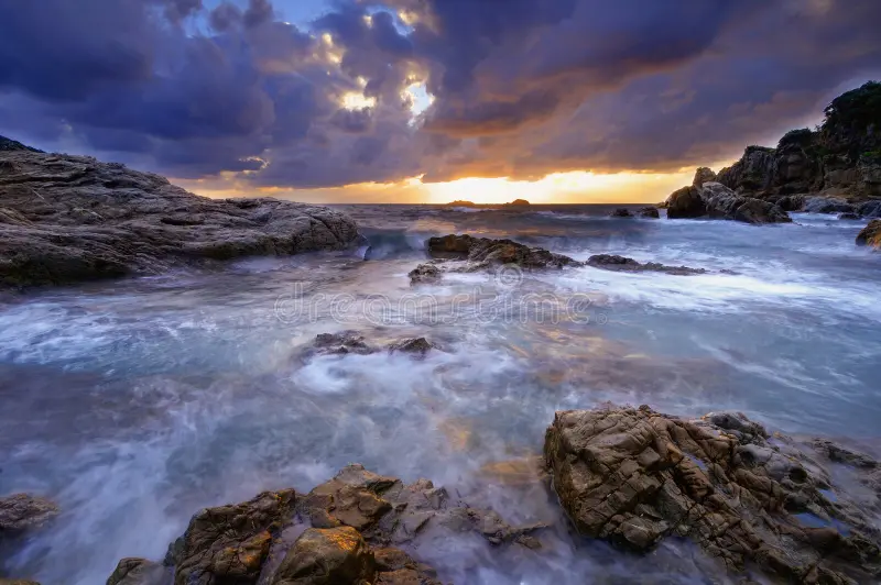 The Science of Healthy Aging: Daily Habits That Help You Stay Strong, Energetic, and Mentally Sharp