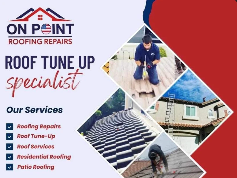 How to Handle Roof Damage Repair in Escondido, California?