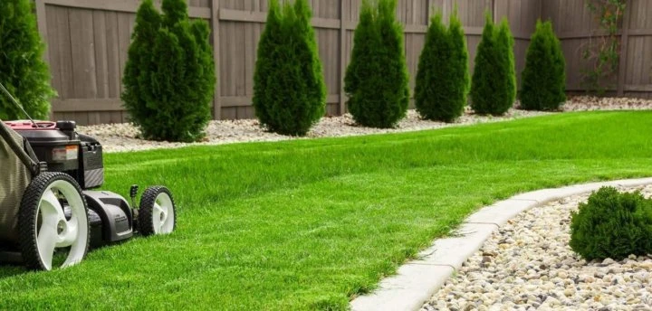 Lawn Mowing Vancouver: 2025 Prices & Wet Climate Care Guide