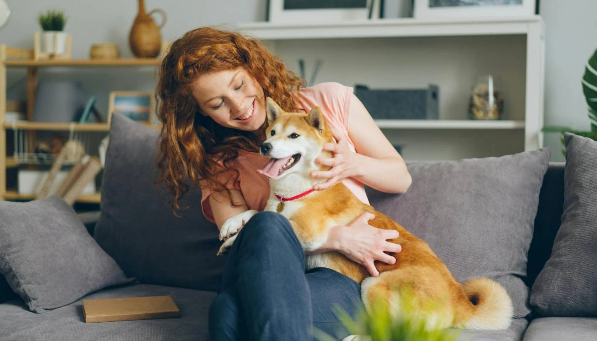 How to Get a Pet Passport in the UAE: A Complete Guide