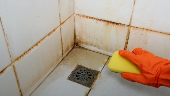 How to Remove Mold and Mildew from Tile Grout Naturally