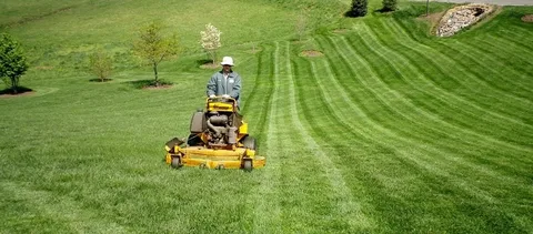 What to Expect from a Professional Lawn Maintenance Visit